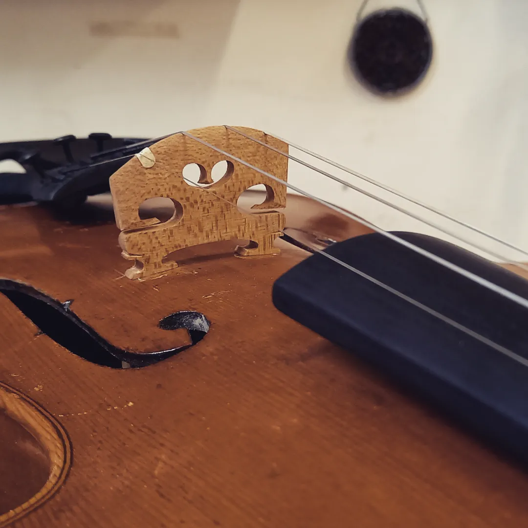 Violin bridge